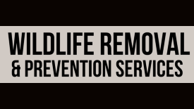 Just 4 you Wildlife Removal 2023 275px