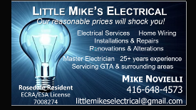 little mikes 2024 275px